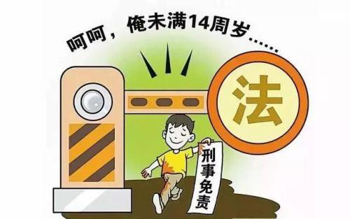 建議嚴管未成年人知法犯法！