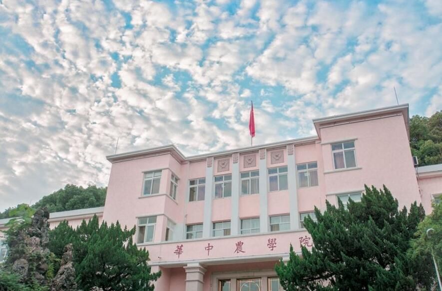 華中農(nóng)業(yè)大學(xué)2019年各省市錄取分?jǐn)?shù)線(xiàn)