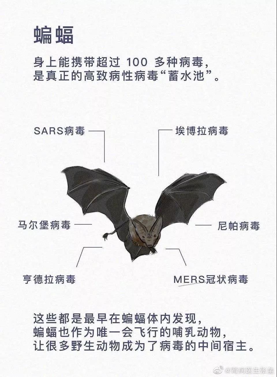 這10道與疫情有關(guān)的作業(yè)題，你的孩子會(huì)如何作答？