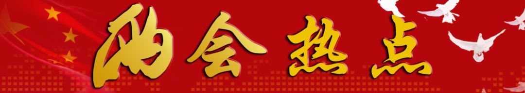 與你相關(guān)！政府工作報(bào)告釋放了什么教育信號(hào)？聽(tīng)代表委員為你解讀 | 兩會(huì)熱點(diǎn)